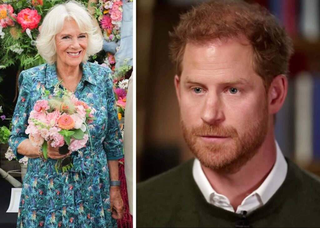 Il Principe Harry contro la matrigna Camilla: ''Era la cattiva, era una donna pericolosa'' Il Principe Harry contro la matrigna Camilla: ''Era la cattiva, era una donna pericolosa''