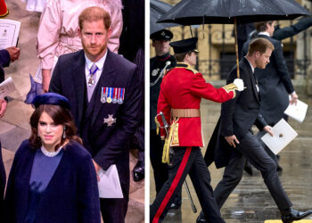 Il Principe Harry snobba i festeggiamenti per l’incoronazione del padre: è già tornato in California da Meghan e i figli, ecco perché