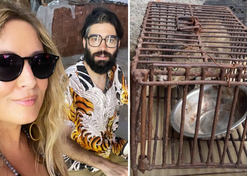 Selvaggia Lucarelli trova cani e gatti morti dai macellai al mercato: ''Me lo sogno la notte'' Selvaggia Lucarelli trova cani e gatti morti dai macellai al mercato: ''Me lo sogno la notte''