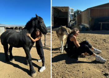 Elisabetta Canalis va a trovare gli animali in difficoltà in un rifugio a Los Angeles
