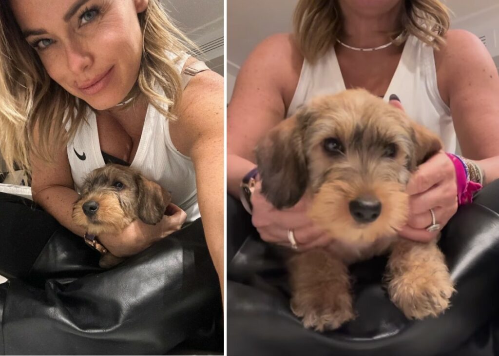 Sonia Bruganelli dopo la separazione da Bonolis ha un ''fidanzato'' a quattro zampe: la tenera foto del nuovo arrivo in famiglia