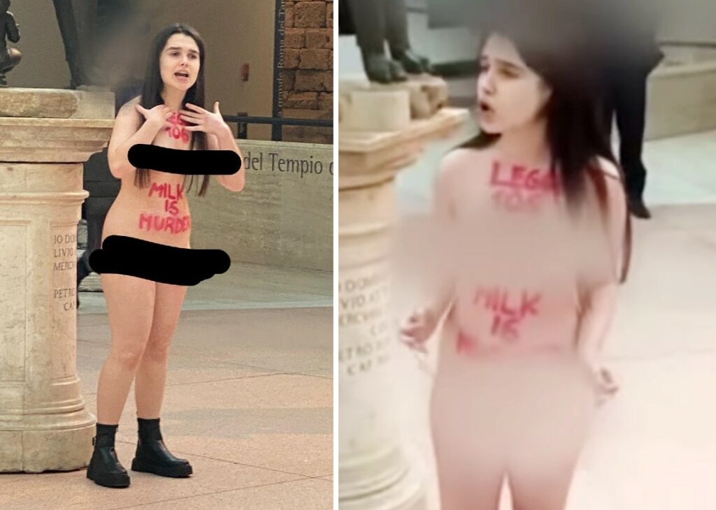 Maria Sofia Federico de 'Il Collegio' si spoglia tutta nuda per il blitz di protesta ai Musei Capitolini Maria Sofia Federico de 'Il Collegio' si spoglia tutta nuda per il blitz di protesta ai Musei Capitolini