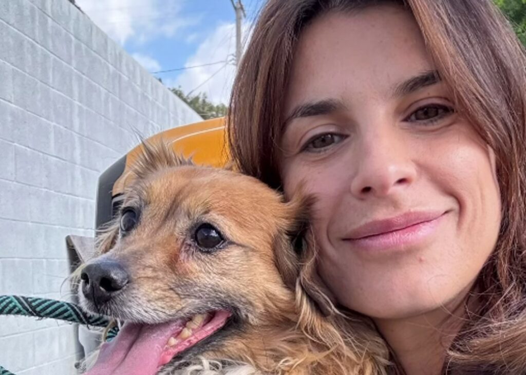 ''L'avevano abbandonato a 10 anni come una scarpa vecchia'': Elisabetta Canalis adotta un cane anziano a Los Angeles, le immagini ''L'avevano abbandonato a 10 anni come una scarpa vecchia'': Elisabetta Canalis adotta un cane anziano a Los Angeles, le immagini