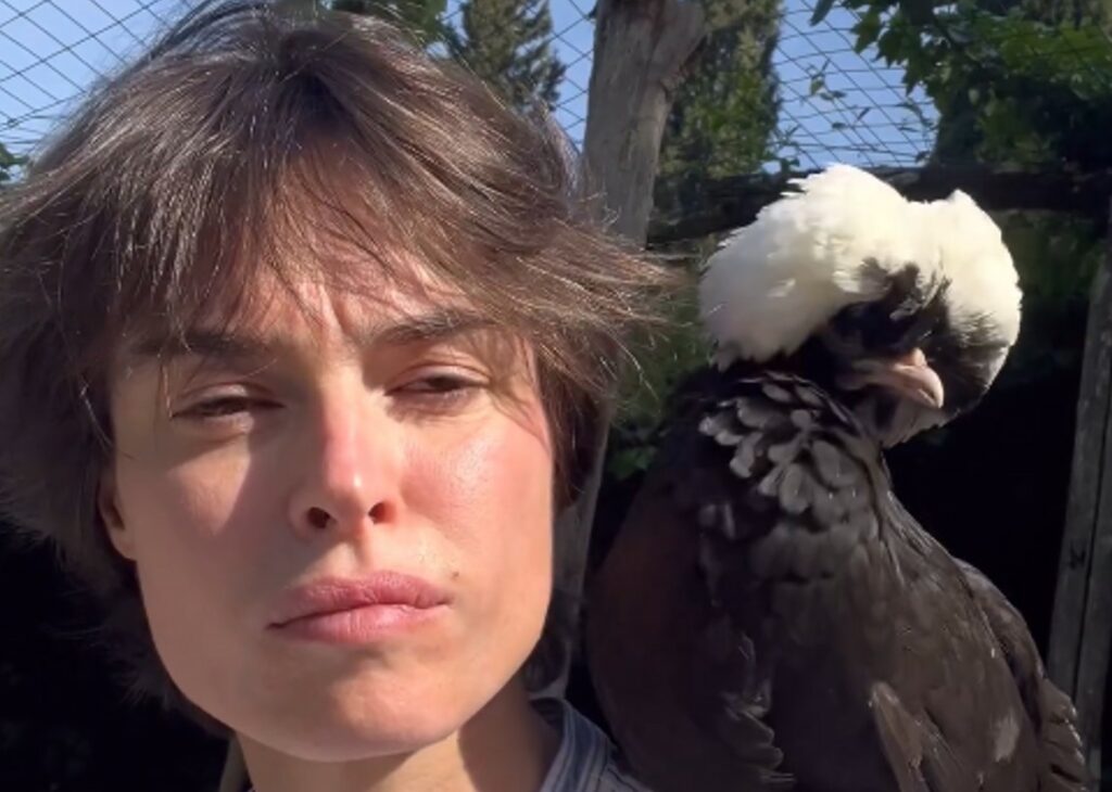 ''Consiglio di tagliare la chioma e sentirsi libere'': le dicono che coi capelli corti sembra trasandata, Kasia Smutniak replica così ''Consiglio di tagliare la chioma e sentirsi libere'': le dicono che coi capelli corti sembra trasandata, Kasia Smutniak replica così