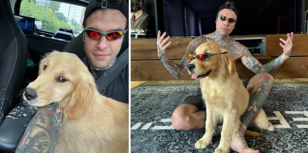 Fedez riappare sul social dopo giorni e presenta il suo nuovo cane! Poi fa capire di aver avuto problemi di salute: le foto Fedez riappare sul social dopo giorni e presenta il suo nuovo cane! Poi fa capire di aver avuto problemi di salute: le foto