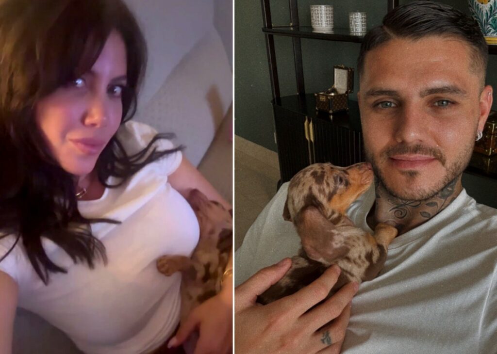 Wanda Nara e Mauro Icardi, prove di riavvicinamento dopo la separazione? Lui vola da lei in Argentina e spunta anche un nuovo cucciolo Wanda Nara e Mauro Icardi, prove di riavvicinamento dopo la separazione? Lui vola da lei in Argentina e spunta anche un nuovo cucciolo