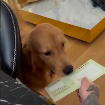 Fedez fa mangiare le querele al cane Silvio