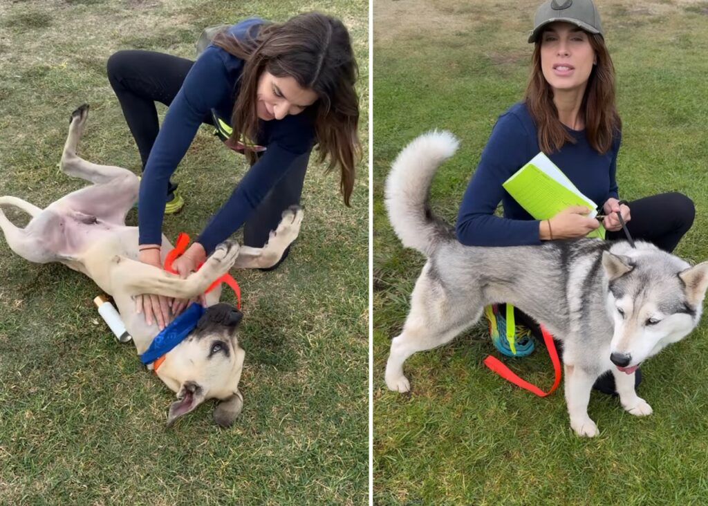 Elisabetta Canalis in prima linea per aiutare le adozioni dei cani di Los Angeles Elisabetta Canalis in prima linea per aiutare le adozioni dei cani di Los Angeles