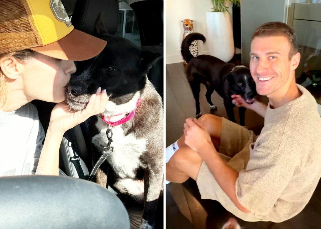 Elisabetta Canalis è diventata una foster mom Elisabetta Canalis è diventata una foster mom