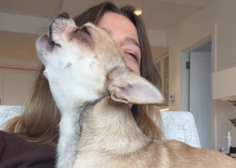 Jaqueline Luna Di Giacomo mostra gli ultimi momenti con il pancione prima di dare alla luce Enea Jaqueline Luna Di Giacomo mostra gli ultimi momenti con il pancione prima di dare alla luce Enea