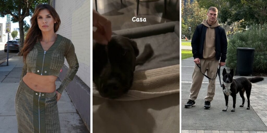 Elisabetta Canalis e Georgian Cimpeanu si sono davvero lasciati? Le nuove immagini da Los Angeles dicono il contrario: ecco perché Elisabetta Canalis e Georgian Cimpeanu si sono davvero lasciati? Le nuove immagini da Los Angeles dicono il contrario: ecco perché