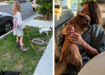 Muore il cane di Elisabetta Canalis, la figlia porta lo stesso il suo guinzaglio fuori: lo scatto del commovente gesto della piccola Skyler Eva