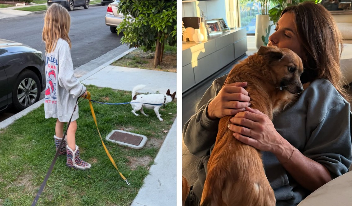 Muore il cane di Elisabetta Canalis, la figlia porta lo stesso il suo guinzaglio fuori: lo scatto del commovente gesto della piccola Skyler Eva - Gossip.it | News sul Gossip e VIP