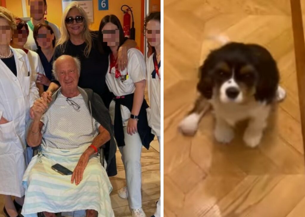 Mara Venier porta a casa il marito dopo la degenza in ospedale: ad attenderlo una sorpresa che gli cambierà la vita, guarda Mara Venier porta a casa il marito dopo la degenza in ospedale: ad attenderlo una sorpresa che gli cambierà la vita, guarda