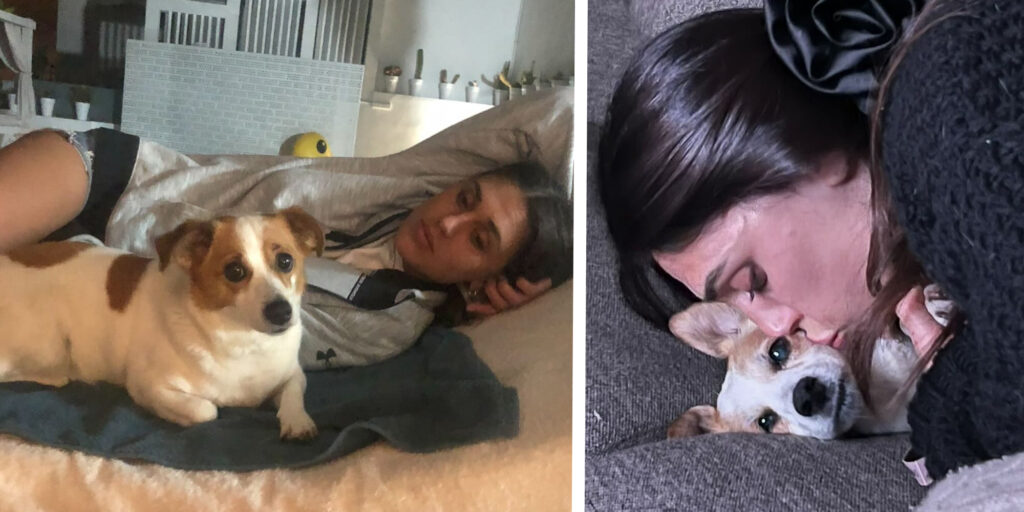 E’ morta improvvisamente l’amata cagnolina Aspirina di Cecilia Rodriguez e Ignazio Moser: ''Difficile trovare parole'' E’ morta improvvisamente l’amata cagnolina Aspirina di Cecilia Rodriguez e Ignazio Moser: ''Difficile trovare parole''