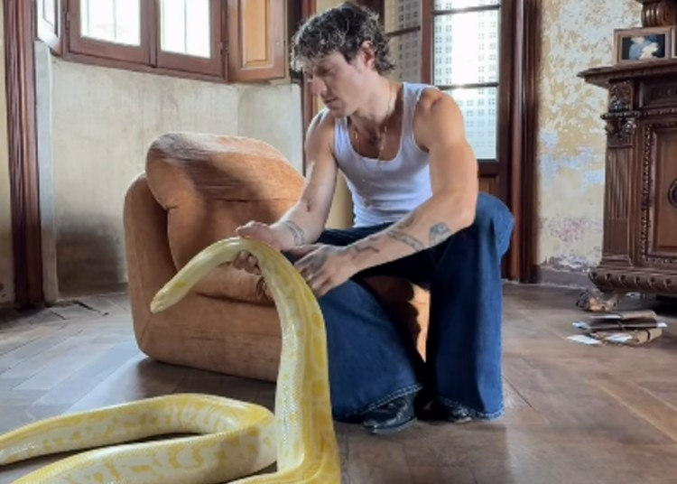 Irama con un boa gigantesco sul set del nuovo videoclip Irama con un boa gigantesco sul set del nuovo videoclip
