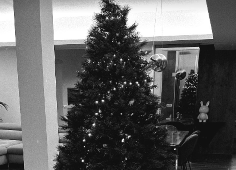 Filippo Bisciglia ha un problema con l'albero di Natale