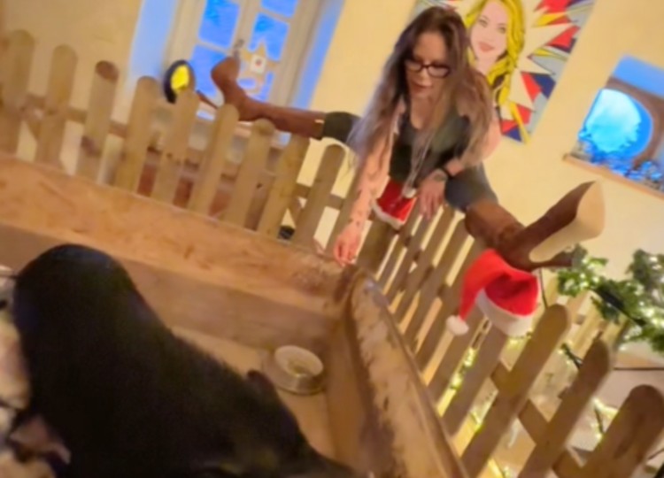 Naike Rivelli mostra i suoi addobbi natalizi Naike Rivelli mostra i suoi addobbi natalizi